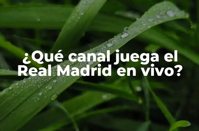 ¿qué Canal Juega el Real Madrid en Vivo?
