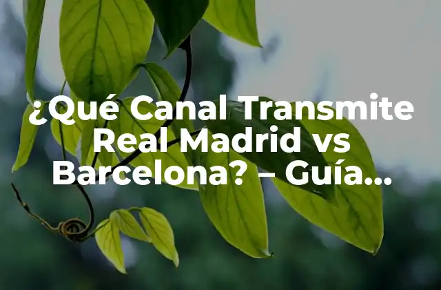 ¿qué Canal Transmite Real Madrid Vs Barcelona? – Guía Completa