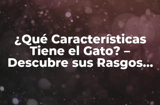 ¿qué Características Tiene el Gato? – Descubre Sus Rasgos Únicos