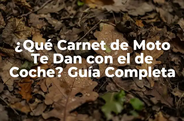 ¿qué Carnet de Moto Te Dan con el de Coche? Guía Completa 2 ¿Cuál es el Proceso de Obtener un Carnet de Moto con el de Coche en España?