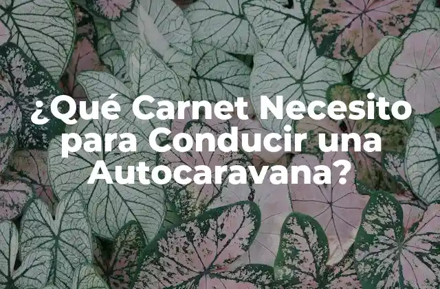 ¿qué Carnet Necesito para Conducir una Autocaravana?
