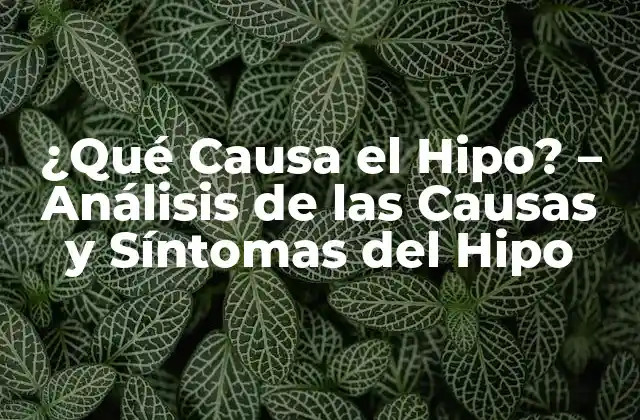 ¿qué Causa el Hipo? – Análisis de las Causas y Síntomas Del Hipo