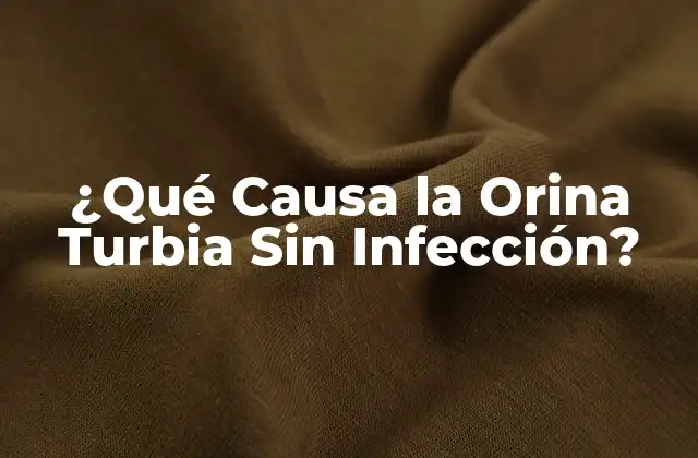 ¿qué Causa la Orina Turbia sin Infección?