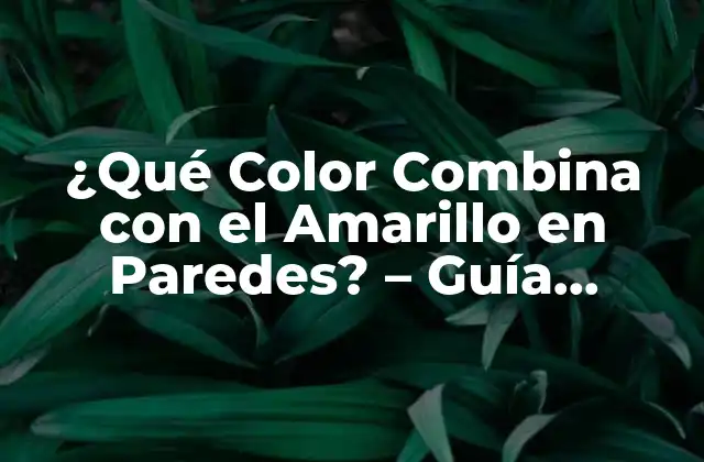 ¿qué Color Combina con el Amarillo en Paredes? – Guía Completa de Diseño de Interiores