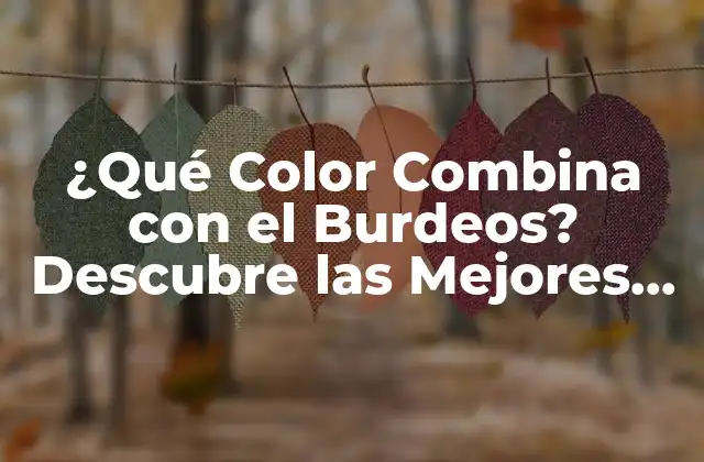 ¿qué Color Combina con el Burdeos? Descubre las Mejores Opciones