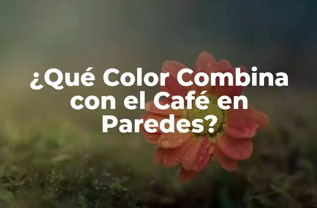¿qué Color Combina con el Café en Paredes?
