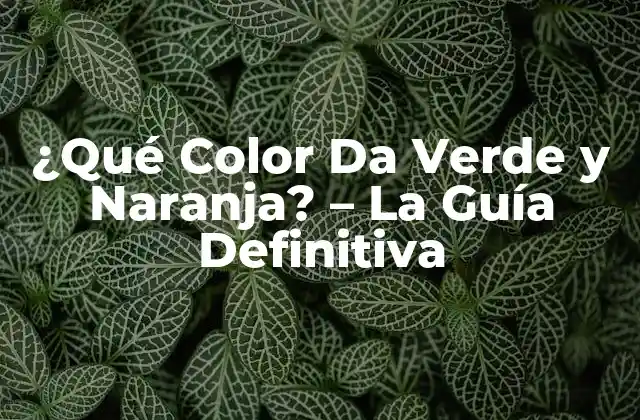 ¿qué Color Da Verde y Naranja? – la Guía Definitiva