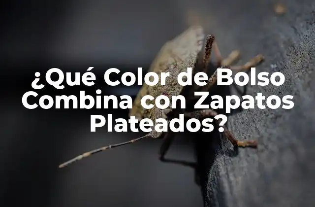 ¿qué Color de Bolso Combina con Zapatos Plateados?
