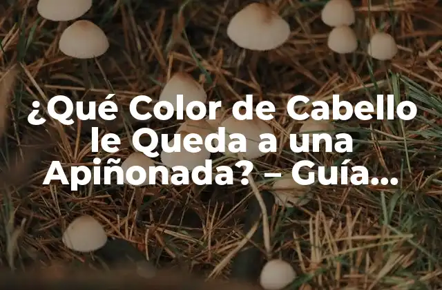 ¿qué Color de Cabello Le Queda a una Apiñonada? – Guía Completa