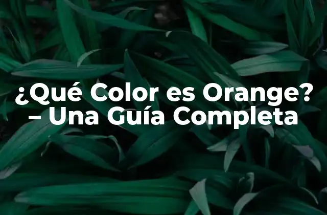 ¿qué Color es Orange? – una Guía Completa
