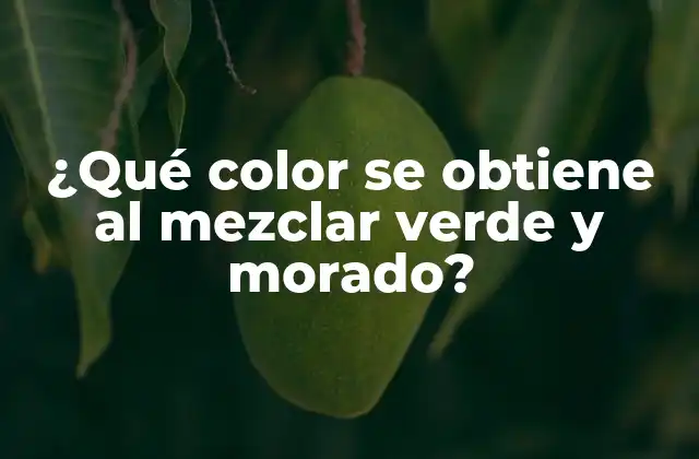 ¿qué Color Se Obtiene Al Mezclar Verde y Morado?