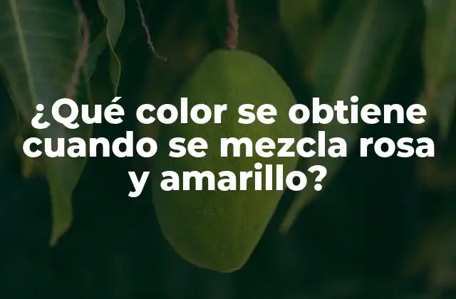 ¿qué Color Se Obtiene Cuando Se Mezcla Rosa y Amarillo?