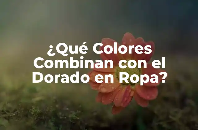 ¿qué Colores Combinan con el Dorado en Ropa?