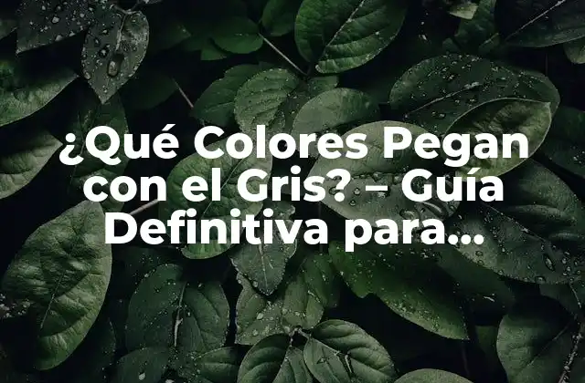 ¿qué Colores Pegan con el Gris? – Guía Definitiva para Combinar Colores con Gris
