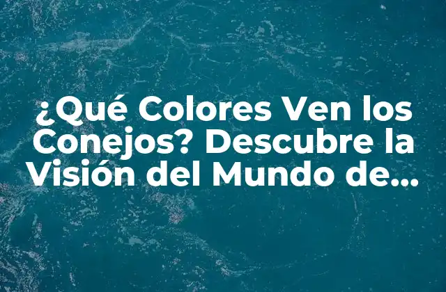¿qué Colores Ven los Conejos? Descubre la Visión Del Mundo de Estos Adorables Animales