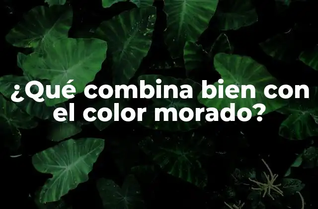 ¿qué Combina Bien con el Color Morado?