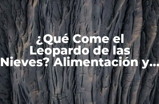 ¿qué Come el Leopardo de las Nieves? Alimentación y Dieta Del Felino Más Elusivo