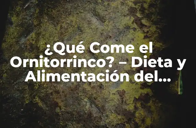 La Dieta del Ornitorrinco - ¿Qué Come?