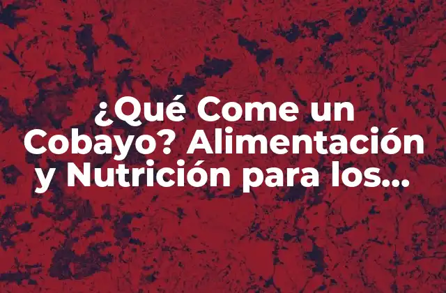 ¿qué Come un Cobayo? Alimentación y Nutrición para los Mejores Amigos
