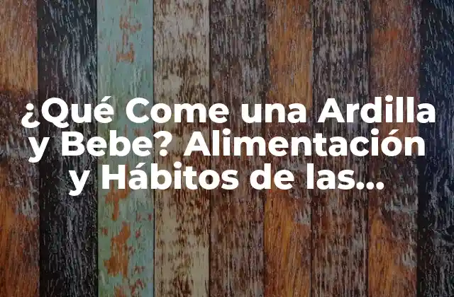 ¿qué Come una Ardilla y Bebe? Alimentación y Hábitos de las Ardillas