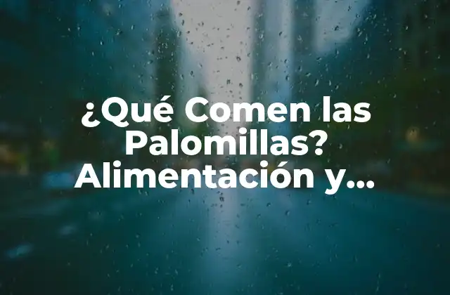 ¿qué Comen las Palomillas? Alimentación y Nutrición de Estos Insectos