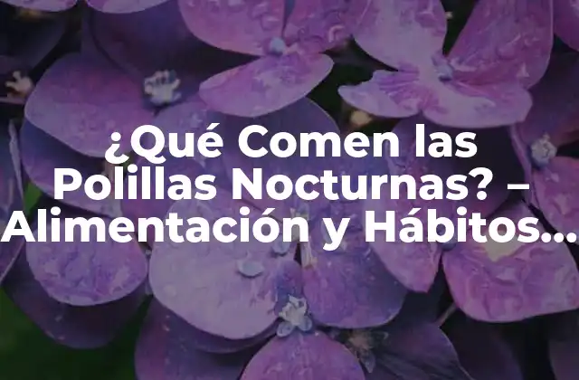 ¿qué Comen las Polillas Nocturnas? – Alimentación y Hábitos de las Polillas de la Noche