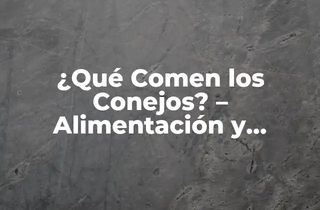 ¿qué Comen los Conejos? – Alimentación y Nutrición para Conejos