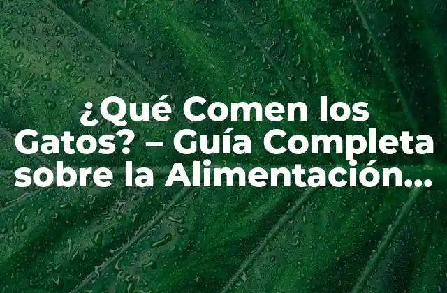 ¿qué Comen los Gatos? – Guía Completa sobre la Alimentación Felina