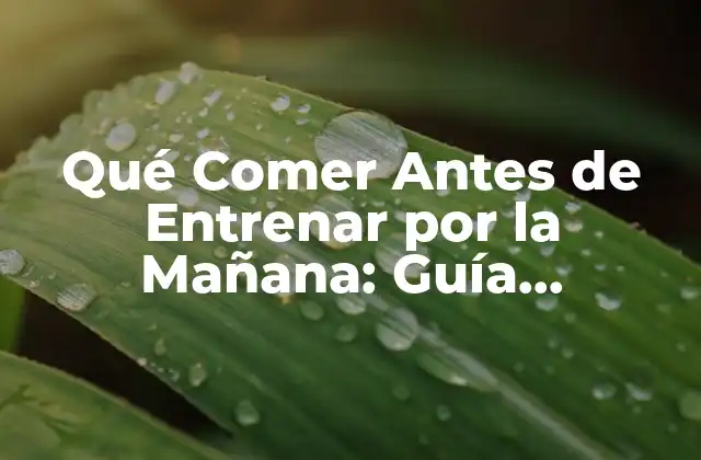 Qué Comer Antes de Entrenar por la Mañana: Guía Completa para un Rendimiento Óptimo