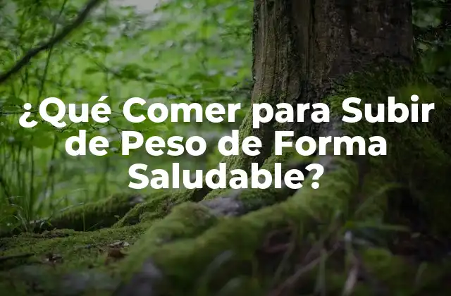 ¿qué Comer para Subir de Peso de Forma Saludable?