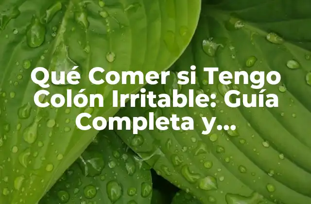Qué Comer Si Tengo Colón Irritable: Guía Completa y Actualizada 2 ¿Cuáles son los Alimentos que Empeoran el Colón Irritable?