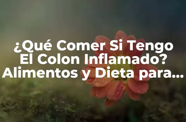 ¿qué Comer Si Tengo el Colon Inflamado? Alimentos y Dieta para Aliviar el Síndrome Del Intestino Irritable