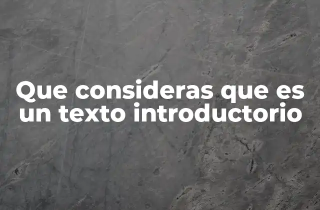Que Consideras que es un Texto Introductorio