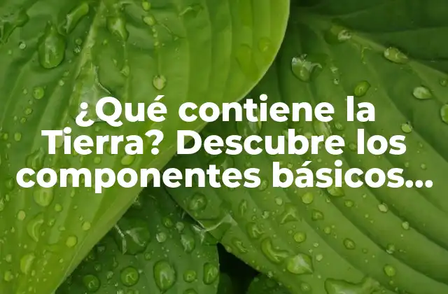 ¿qué Contiene la Tierra? Descubre los Componentes Básicos de Nuestro Planeta