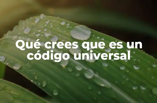 Qué Crees que es un Código Universal