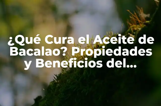 ¿qué Cura el Aceite de Bacalao? Propiedades y Beneficios Del Suplemento Natural