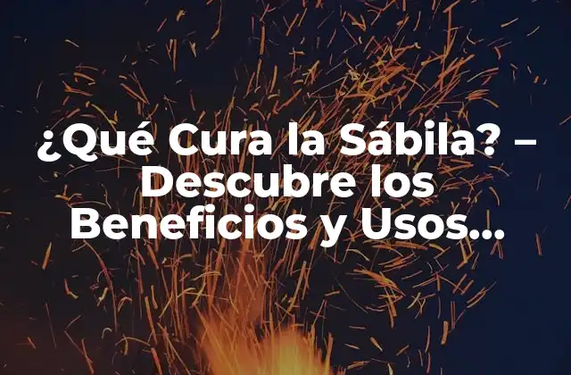 ¿qué Cura la Sábila? – Descubre los Beneficios y Usos Médicos de la Sábila