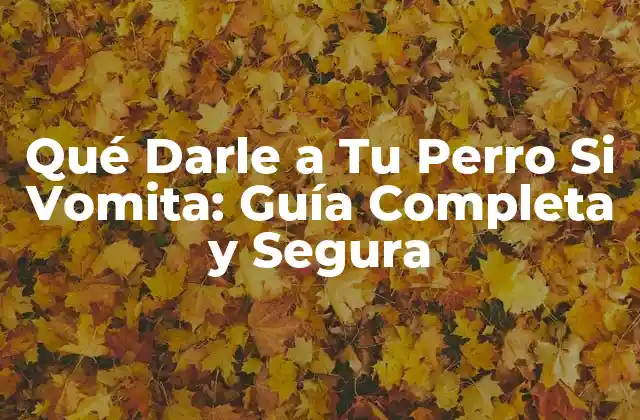 Qué Darle a Tu Perro Si Vomita: Guía Completa y Segura