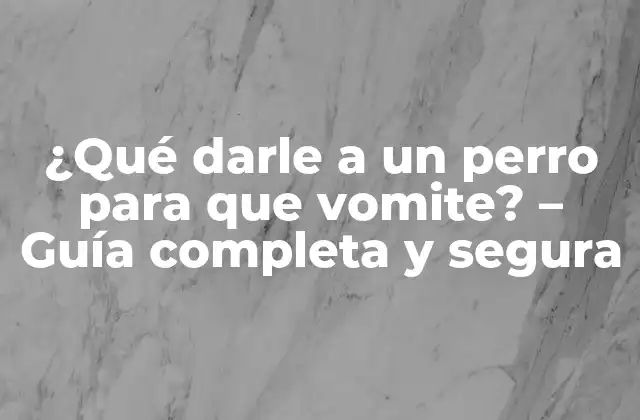 ¿Cuándo es necesario inducir el vómito en un perro?