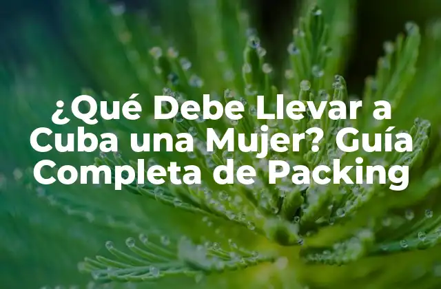 ¿qué Debe Llevar a Cuba una Mujer? Guía Completa de Packing