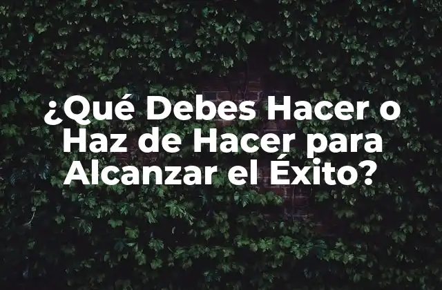 ¿qué Debes Hacer o Haz de Hacer para Alcanzar el Éxito?