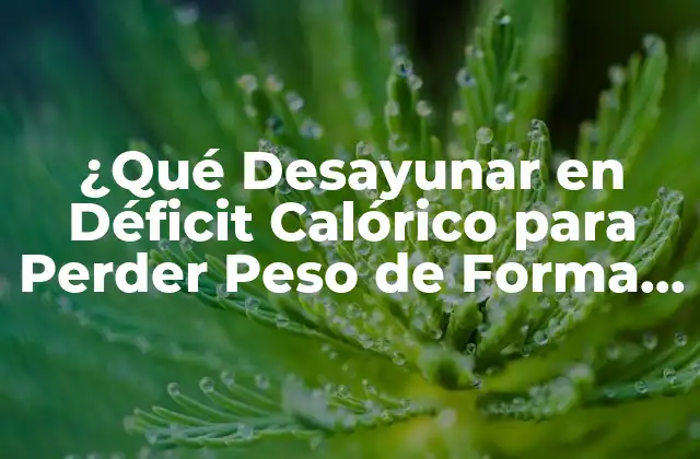 ¿qué Desayunar en Déficit Calórico para Perder Peso de Forma Saludable?
