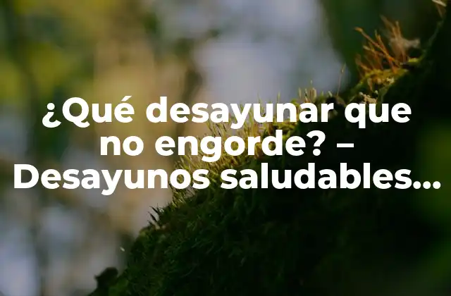 ¿qué Desayunar que No Engorde? – Desayunos Saludables y Deliciosos para un Comienzo Perfecto