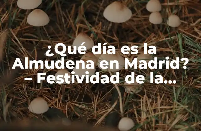 ¿qué Día es la Almudena en Madrid? – Festividad de la Virgen de la Almudena