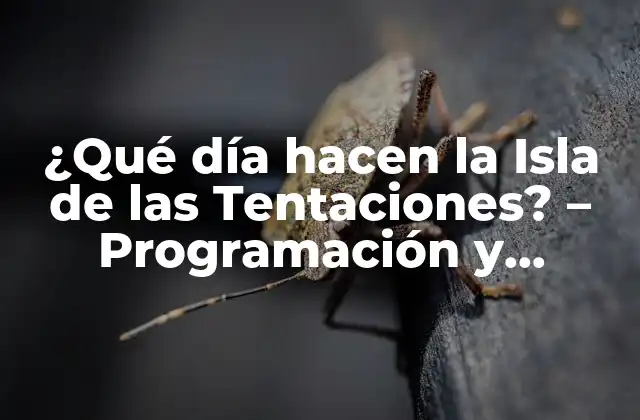 ¿qué Día Hacen la Isla de las Tentaciones? - Programación y Horarios 2 La Programación de la Isla de las Tentaciones