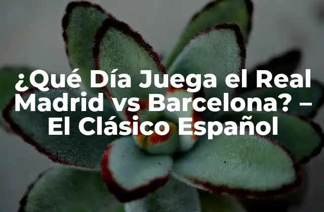 ¿qué Día Juega el Real Madrid Vs Barcelona? – el Clásico Español