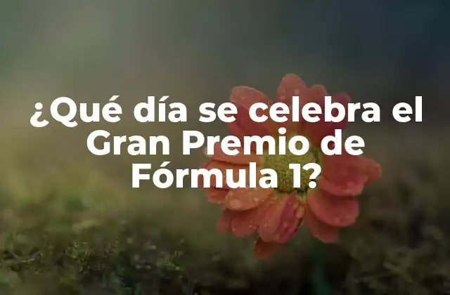 ¿qué Día Se Celebra el Gran Premio de Fórmula 1?