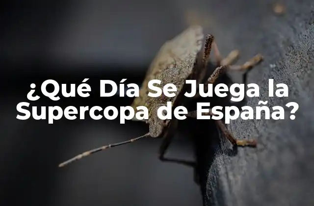 ¿qué Día Se Juega la Supercopa de España?