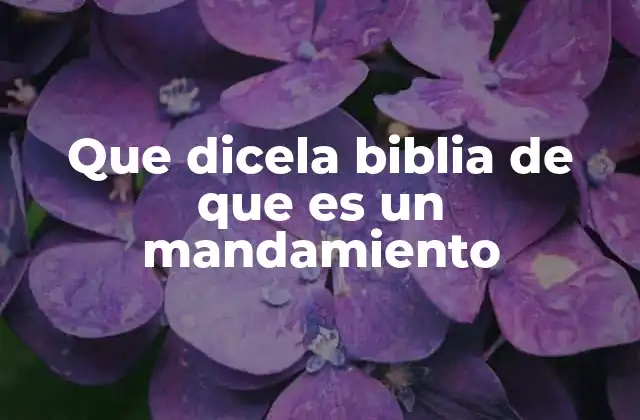 La importancia de los mandamientos en la vida espiritual