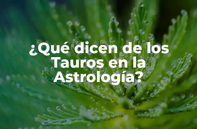 Características de los Tauros